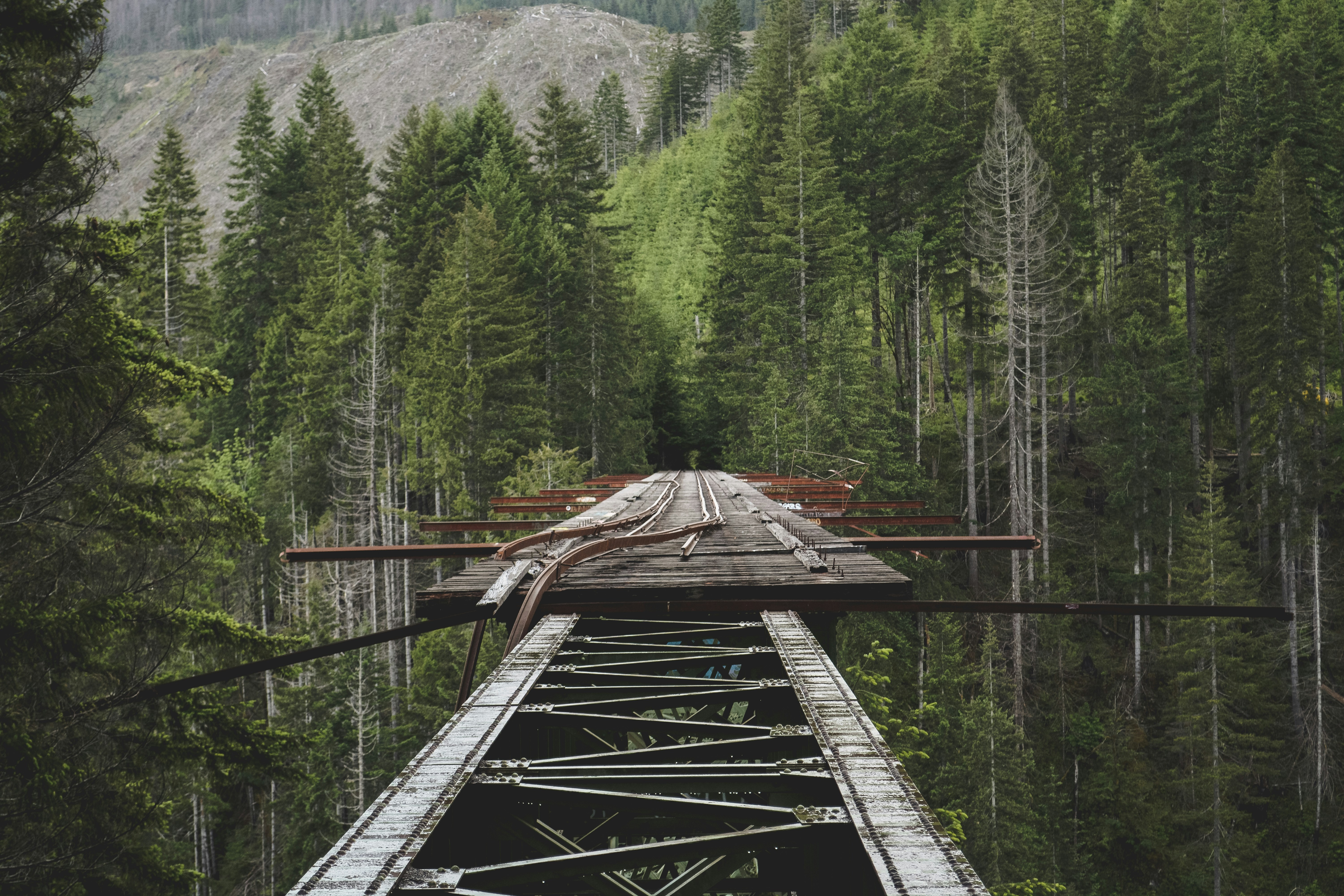 What Breaks When You Automate Localization Without Linguistic Guardrails